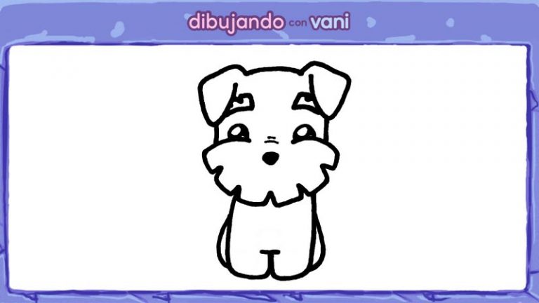 Perro Schnauzer Para Colorear En Estilo Kawaii Dibujando Con Vani